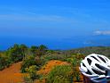 ELBA2019 (211)